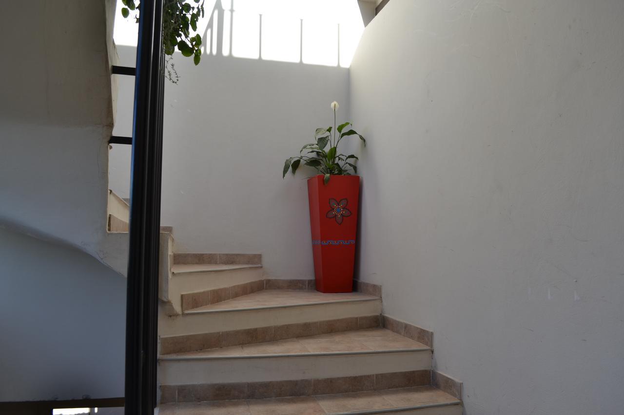 Guest House Jujuy ซานซัลวาดอร์ เด โฆคุย ภายนอก รูปภาพ