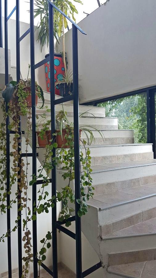 Guest House Jujuy ซานซัลวาดอร์ เด โฆคุย ภายนอก รูปภาพ