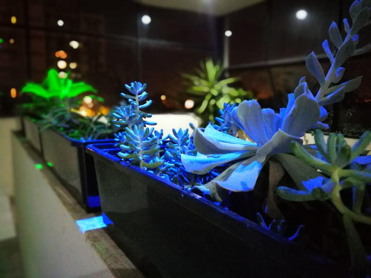 Guest House Jujuy ซานซัลวาดอร์ เด โฆคุย ภายนอก รูปภาพ